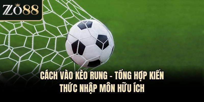 Cách Vào Kèo Rung - Tổng Hợp Kiến Thức Nhập Môn Hữu Ích